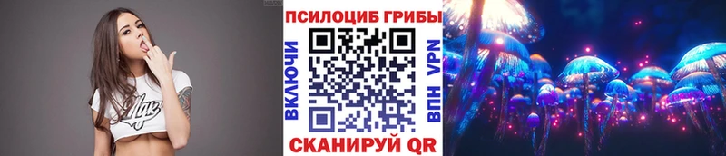 ссылка на мегу tor  Ивдель  Галлюциногенные грибы мухоморы 